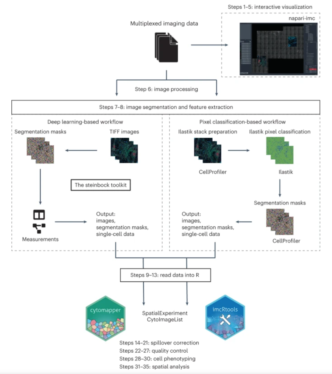 Fig. 1: Overview of the multiplexed tissue image analysis workflow.