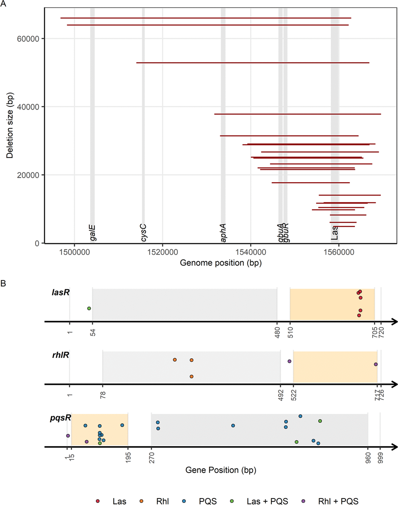 Jayakumar et al 2022 mSystems © 2022 The Authors