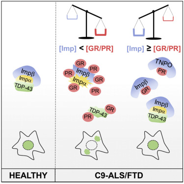 Figure 1 Hutten et al. 2020 Cell Reports