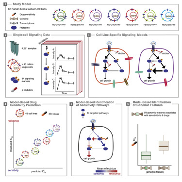 Graphical abstract