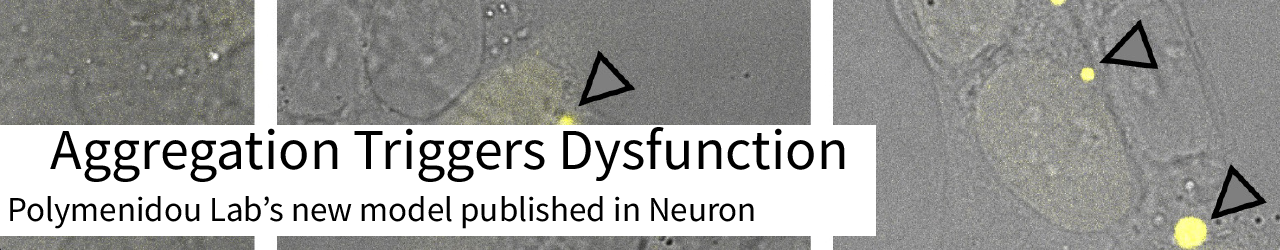 25_03_Polymenidou_Neuron_1280_250_ind_white-01