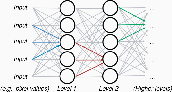 Fig 2. Neural Network Architecture © 2021 The Author(s)