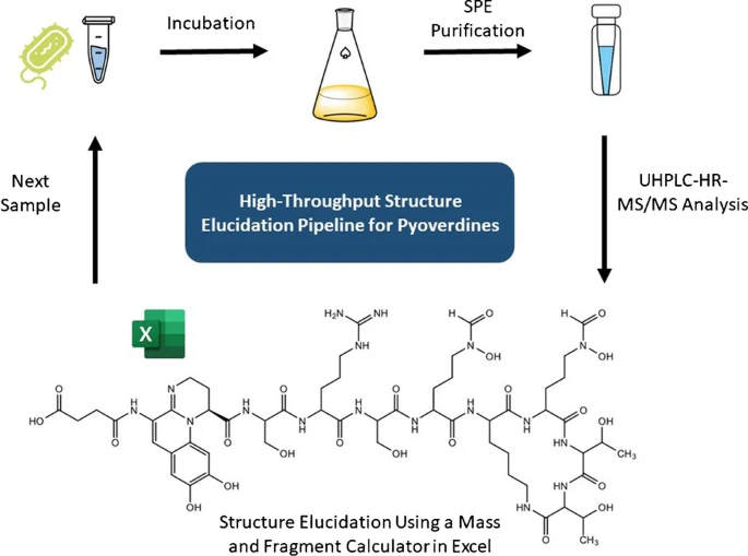 Graphical abstract, Rehm et al. 2022