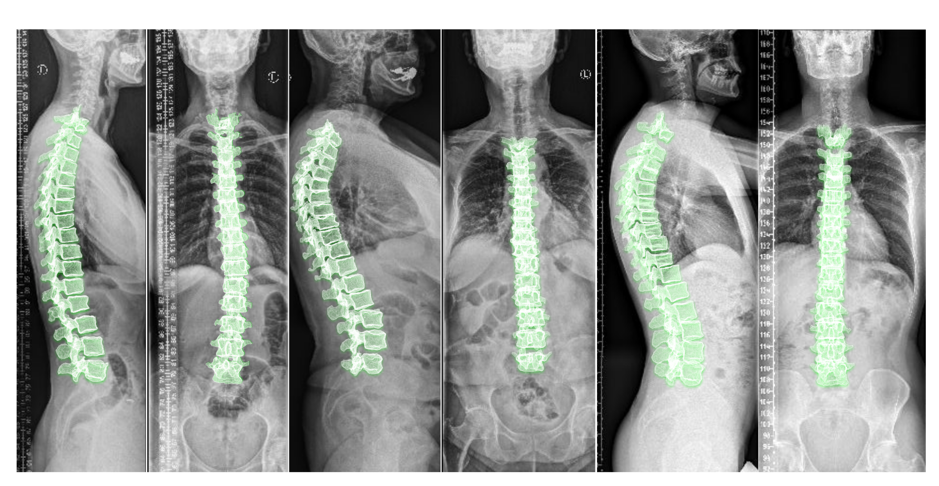 Fig.10. Bayat et al. 202e