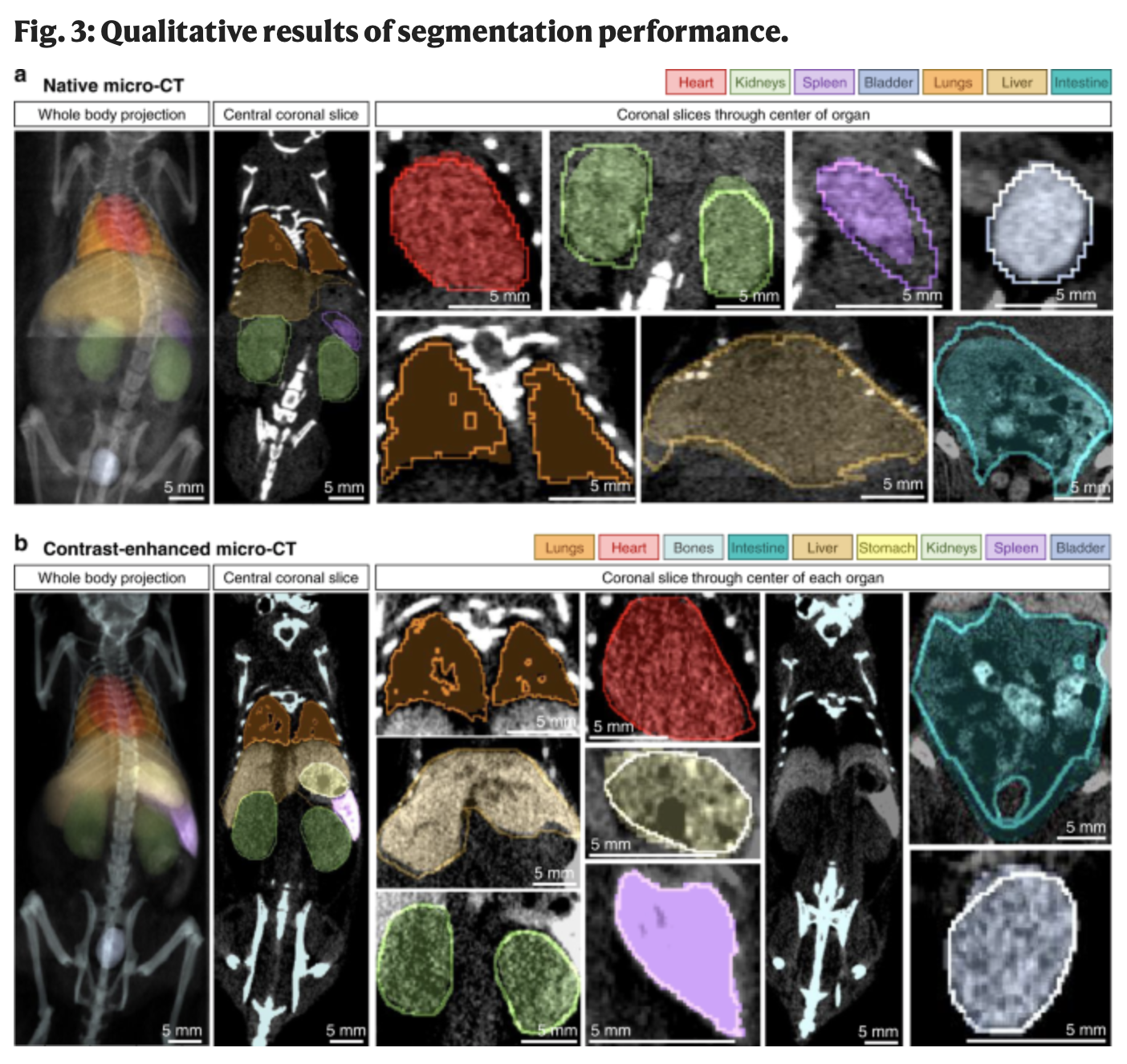 Fig 1 Schoppe et al 2020